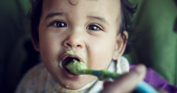 delícia-de-comida-de-bebê-800