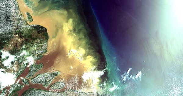 derramamento-oleo-foz-amazonas-flickr-conexao-planeta