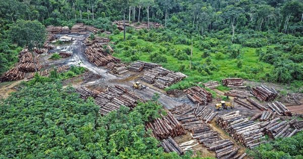 desmatamento-amazonia-2021-conexao-planeta