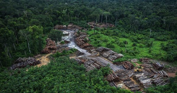 desmatamento-amazonia-aumenta-64-abril-inpe-conexao-planeta