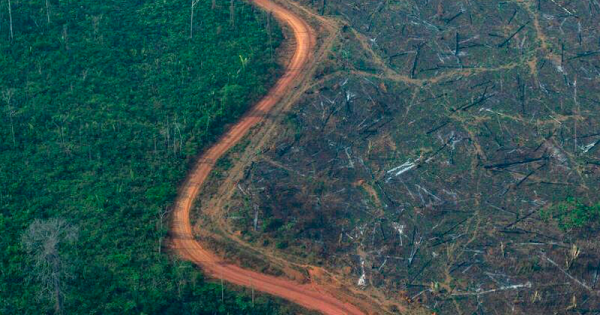 desmatamento-amazonia-labrea-foto-victor-moriyama-para-greenpeace-brasil2