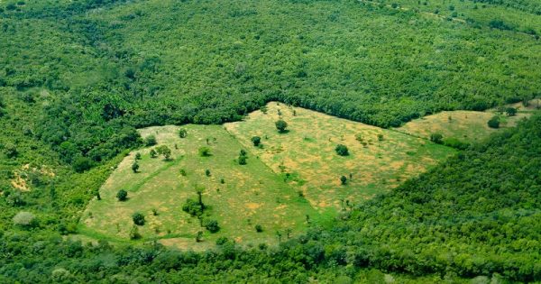 desmatamento-amazonia-limite-irreversivel-conexao-planeta