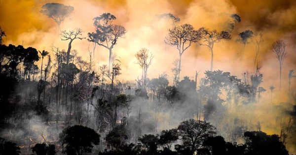 desmatamento-amazonia-novo-recorde-inpe-prodes-foto-christian-braga-greenpeace-brasil