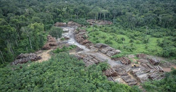 desmatamento na amazônia