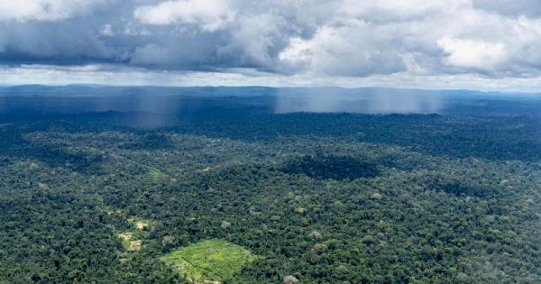 desmatamento-no-Xingu-cai-52-porcento-no-primeiro-semestre-foto-rogerio-assis-ISA