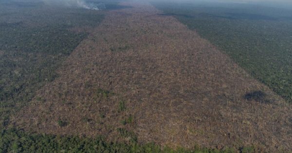 Fire Monitoring in the Amazon in Brazil in September, 2021Monitoramento de Queimadas na Amazônia em Setembro de 2021