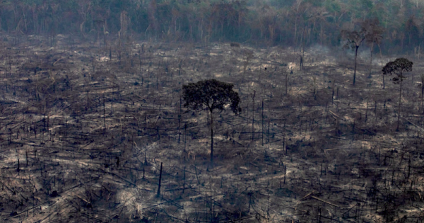 desmatamento01-queimada-pandemia-desastre-amazonia-foto-victor-moriyama-greenpeace