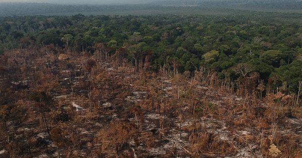 devastacao-amazonia-conexao-planeta