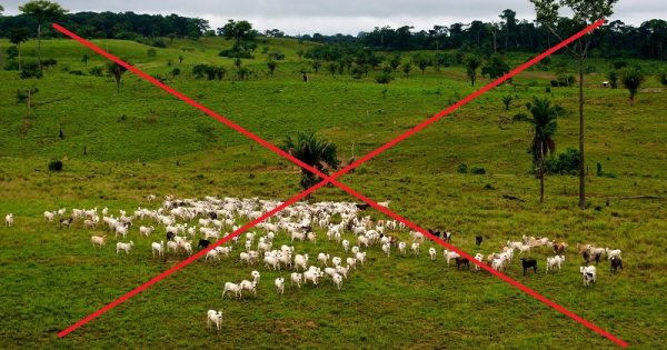 Diga NÃO à fusão dos ministérios do Meio Ambiente e da Agricultura! Assine já a petição!