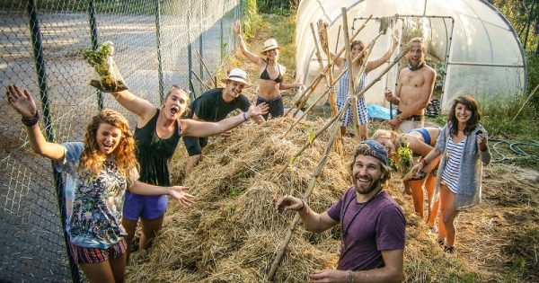 Organic Farms: estadia de graça e trabalho voluntário - viajando ao redor do mundo com as mãos na terra