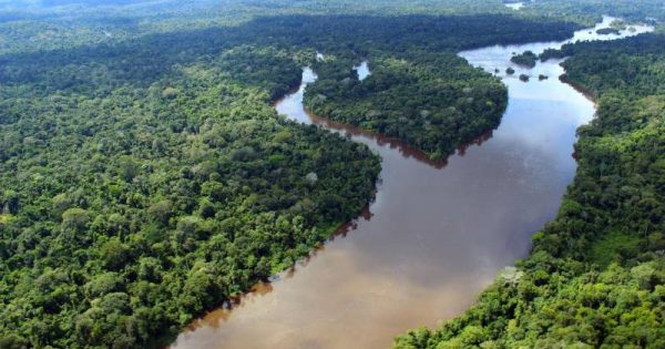 estados-amazonia-anunciam-parceria-franca-conexao-planeta