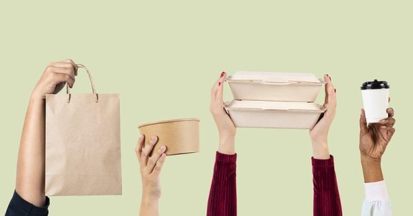 Eco-friendly food packaging  delivery concept