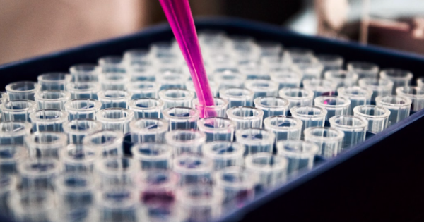 ex-ministros-ciencia-tecnologia-lanca-manifesto-foto-louis-reed-unsplash-1