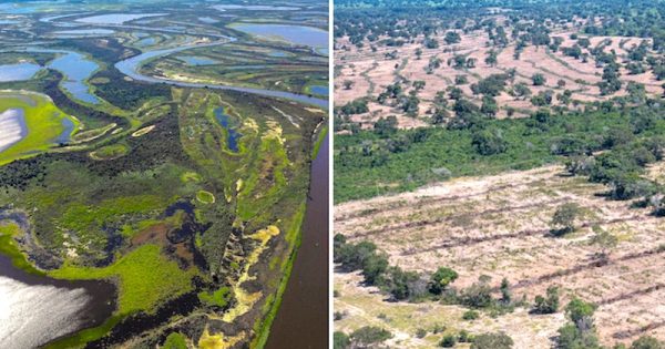 expansao-do-cultivo-de-seja-no-pantanal-MS-fotos-gustavo-figueiroa