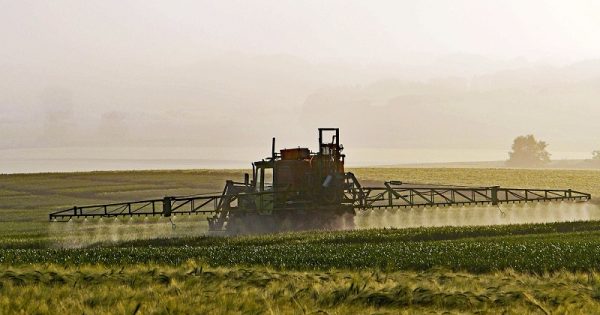 exposicao-pesticidas-aumenta-risco-doenca-parkinson-conexao-planeta