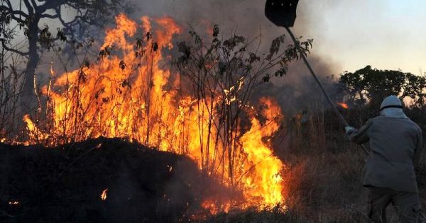 fazendeiros-causam-recorde-de-queimadas-em-MT-foto-valter-campanato-agencia-brasil