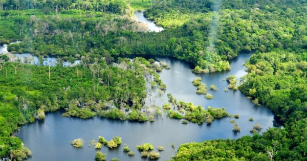 vista aérea da Floresta Amazônica