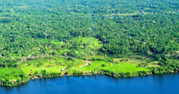 floresta amazônica