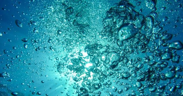 florida-temperatura-agua-recorde-conexao-planeta