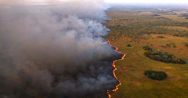 fog-pantanal-fogo-retrata-queimadas-na-maior-seca-historica-do-bioma-foto-divulgacao-