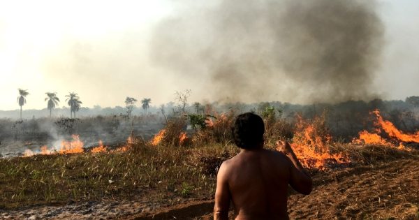 fogo-na-floresta-instituto-socioambiental-conexao-planeta-abre