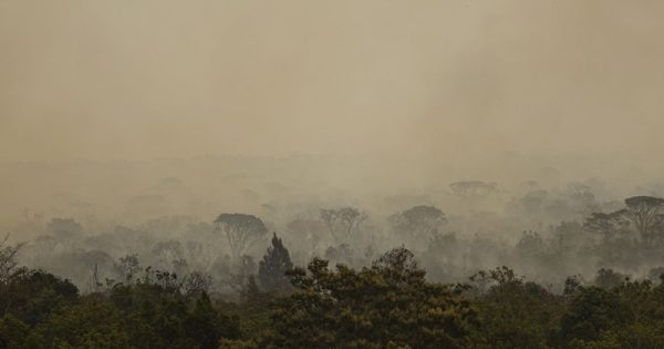 fogo-subterraneo-parque-nacional-brasilia-marcelo-camargo-conexao-planeta