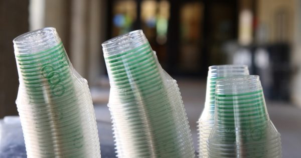copos de plástico