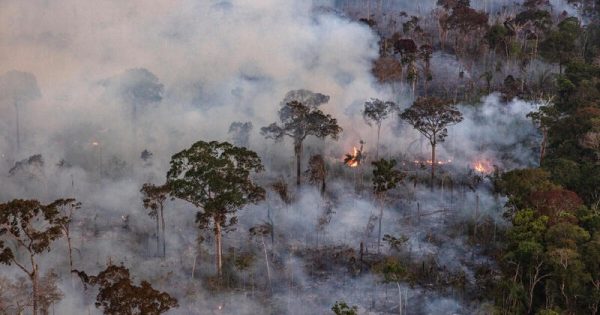 Fire Monitoring in the Amazon in BrazilMonitoramento de Desmatamento e Queimadas na Amazônia em Agosto de 2023