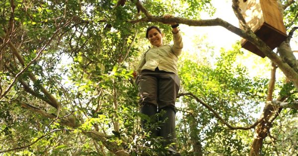 gabriela-rezende-eleita-11-mulheres-conservacao-pelo-Disney-Fund-Conservation-foto-leonardo-silva1.png