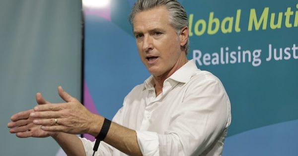 gavi-newsom-rafa-pereira-cop30-conexao-planeta