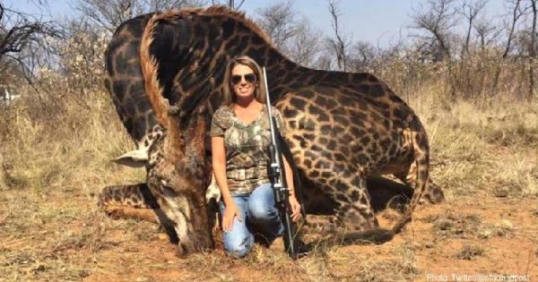Foto de americana com girafa morta como troféu de caça provoca revolta nas redes sociais