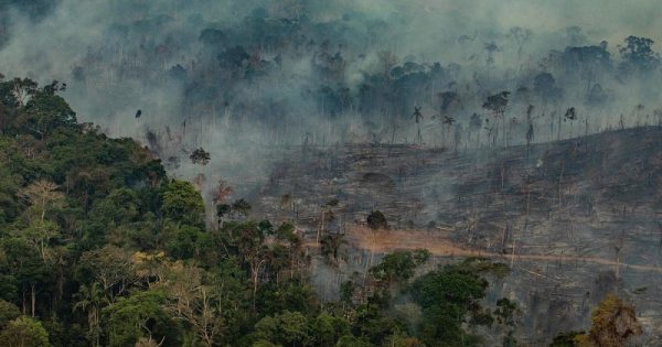 Forest Fires in Porto Velho, Rondônia, Amazon - Third Overflight (2019)Queimadas na Amazônia - Terceiro Sobrevoo (2019)