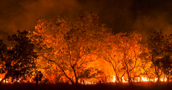 governo-federal-estuda-meios-para-confiscar-terras-de-autores-de-incendios-criminosos-foto-jader-souza-AL-roraima