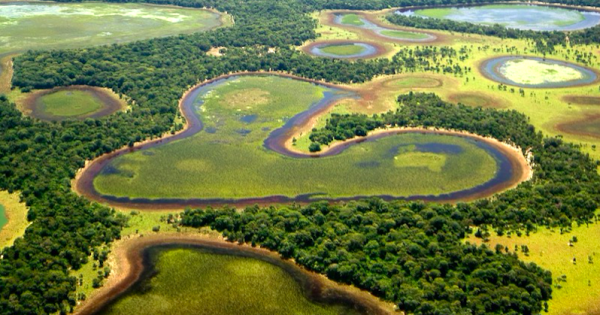 governo-ms-suspende-licencas-para-desmatamento-e-propoe-lei-do-pantanal-foto-jose-sabino