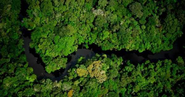 governo-temer-revoga-decreto-que-extinguia-renca-reserva-amazonia-set2017-conexao-planeta