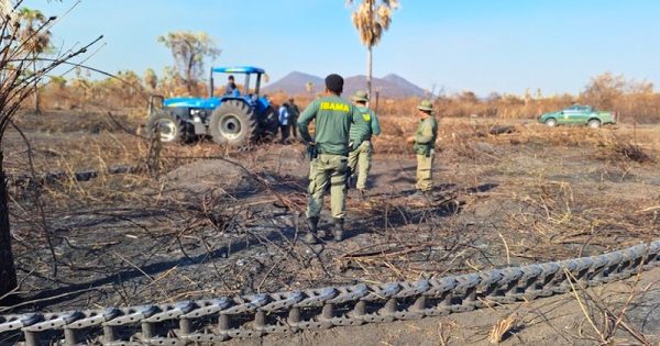 ibama-flagra-tratores-puxando-correntao-em-fazenda-no-pantanal-para-derrubar-arvores-que-resistiram-aos-incendios-foto-nicelio-silva-prevfogo-ibama