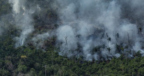 Fire Monitoring in the Amazon in Brazil in September, 2021Monitoramento de Queimadas na Amazônia em Setembro de 2021 - Clipreel 15/09