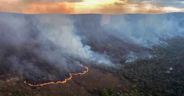 incendio-chapada-veadeiros-cbmgo-conexao-planeta