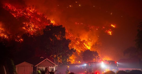 incendio-los-angeles-fire-la-conexao-planeta