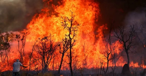 incendio-parque-nacional-brasileira-agencia-brasil-conexao-planeta