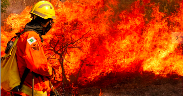 incendio-parque-nacional-de-brasilia-foto-fabio-rodrigues-pozzebom-agencia-brasil-b