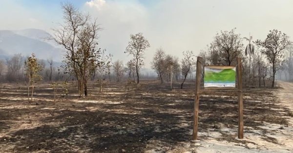 incendio-serra-do-amolar-acurizal-2-conexao-planeta