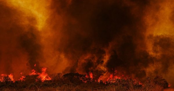 incendio-turf-pantanal-conexao-planeta