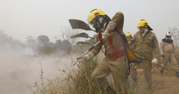 incendios-amazonas-amazonia-real-abre-conexao-planeta