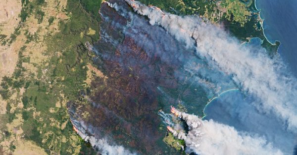 incendios-australia-destruiram-20-florestas-pais-conexao-planeta