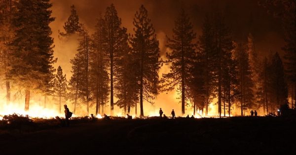 incendios-california-2-conexao-planeta