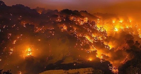 incendios-california-deixam-quase-200-mil-pessoas-sem-casa-mais-1-milhao-sem-eletricidade-conexao-planeta