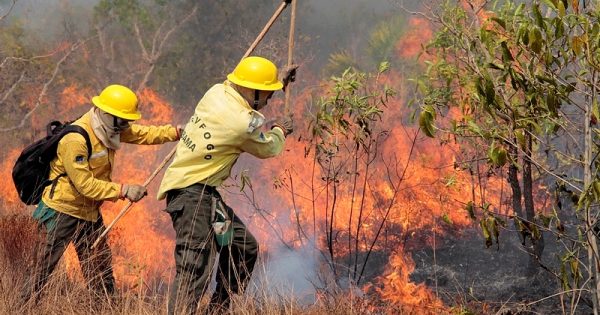 Incêndios crescem 58% no Parque Indígena do Xingu devido à expansão do agronegócio, afirma Ibama