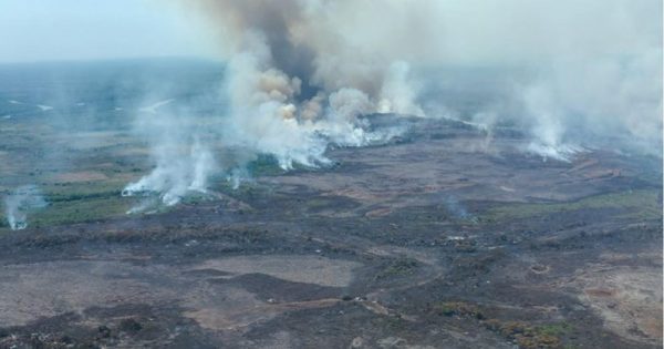 incendios-norte-pantanal-2-conexao-planeta