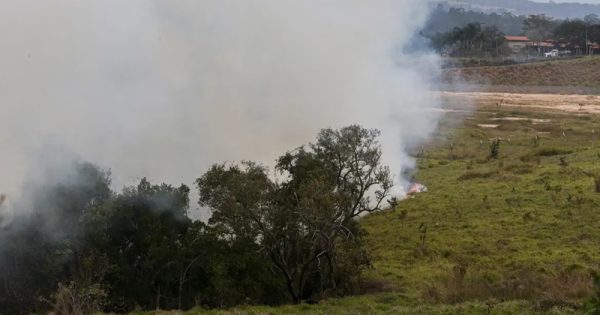 incendios-sao-paulo-paulo-pinto-conexao-planeta